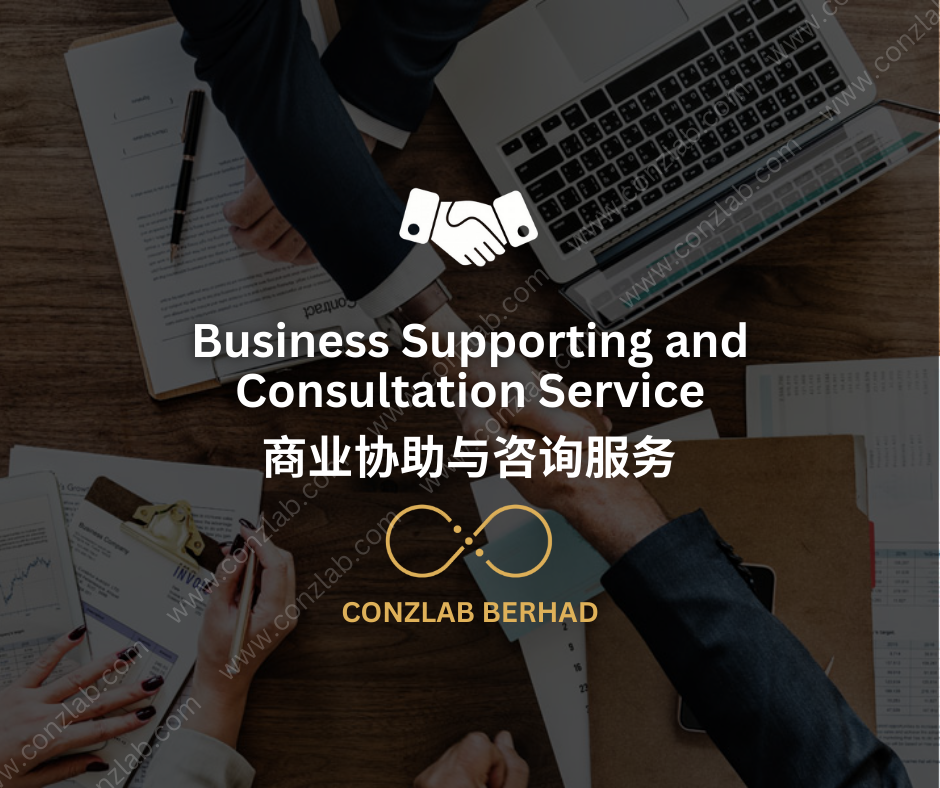Comprehensive Business Support and Consultation Services