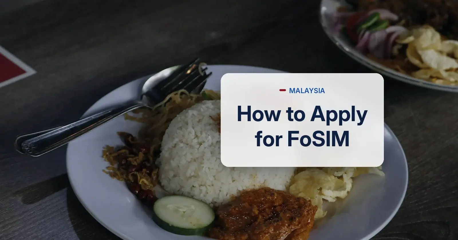 How to apply for FoSIM in Malaysia - nasi lemak