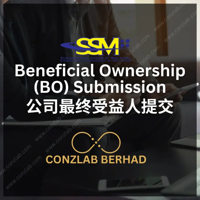 公司最终受益人 (BO) 信息提交