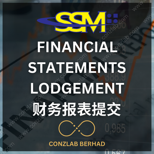[Financial Statements Lodgement] 财务报表提交