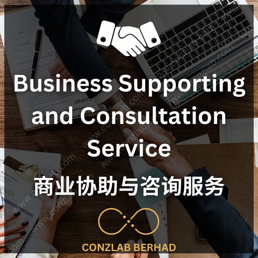 Business Support and Consultation Service